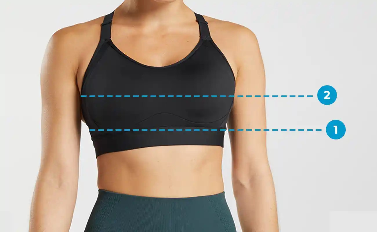 Sports Bra Guide